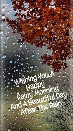 a tree with rain drops on it and the words wishing you happy rainy morning and a beautiful day after the rain