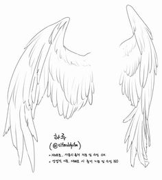 two drawings of wings, one with black and white writing on the bottom right side