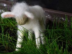 a small white sheep standing in the grass next to a window sill with it's head down