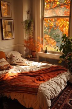 a bed sitting in front of a window next to a potted plant on top of a rug