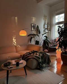 a living room filled with furniture and lots of plants on the floor next to a window