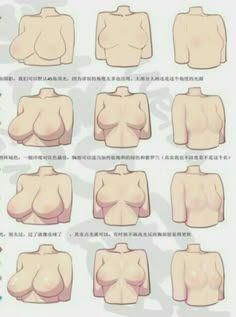 an image of different breast shapes and sizes