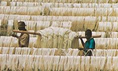 two men are standing in front of bundles of white yarn that have been woven together