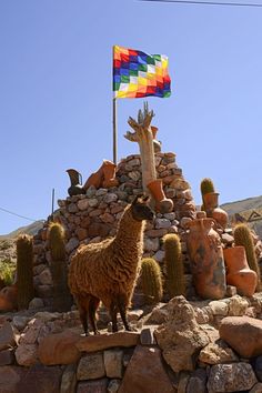 a llama standing on top of a pile of rocks next to a colorful flag