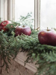 three apples sitting on top of a window sill covered in greenery next to an open window