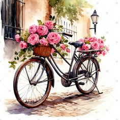 a watercolor painting of a bicycle with pink roses in the basket and a lamp post