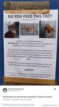 a sign that is posted on the side of a building with pictures of cats in it