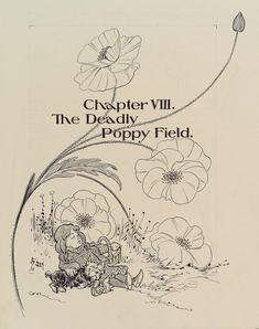 an advertisement for the poppy field, with flowers and a teddy bear sitting on it