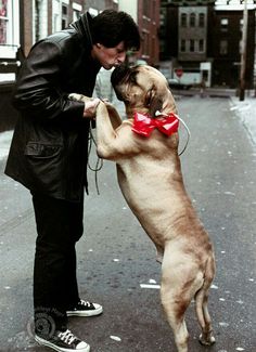 a man kissing a dog on the street