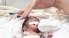 Premature Infants May Be More Likely to Develop ADHD, Autism Women Heart Health, Infant Massage, Pediatric Pt, Career Ideas, Brain Connections