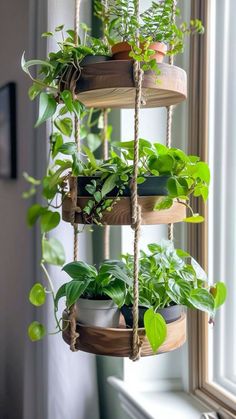 a hanging planter filled with potted plants in front of a window