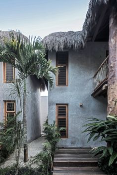 an exterior view of a house with stairs leading up to it and palm trees in the foreground