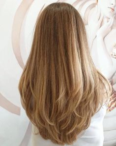 90s Layers Back View, Haircut For School Going Girl, Light Layers For Medium Length Hair, Light Layering Haircut, Long Layered Light Brown Hair, Long Layered Hair Front View, Light Layers Haircut, Light Brown Hair Layers, Haircut Inspo Long Hair