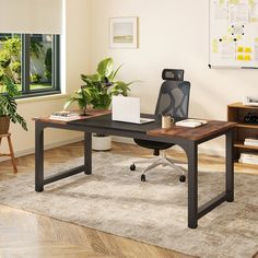 an office with a desk, chair and potted plant in the middle of the room