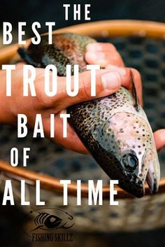 a person holding a fish in their hand with the caption best trout out of all time