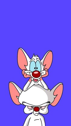 the pinky and the brain cartoon character