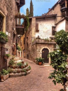 an alley way with potted plants on either side