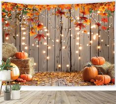 pumpkins and hay bales in front of a wooden fence with lights on it