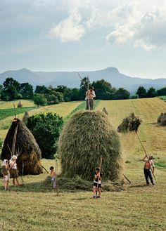 people standing on top of hay bales in a field