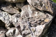 a pile of coins sitting on top of rocks