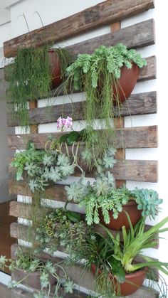 a wooden pallet filled with potted plants