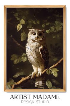 an owl sitting on top of a tree branch with the words artist madame written below it