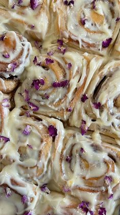 several rolls covered in white icing and purple flowers