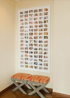 a bench sitting in front of a wall with pictures on the wall and underneath it