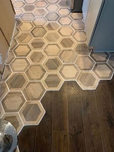 a cat is sitting on the floor in front of a tile pattern that looks like hexagonal tiles