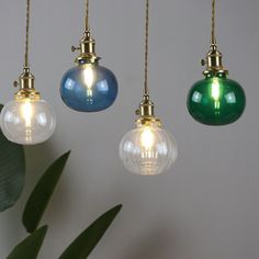 three different colored glass globe lights hanging from gold chains on a wall next to a potted plant