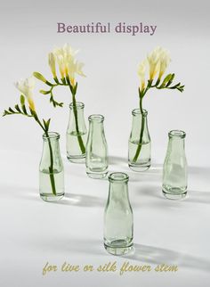 six glass vases with flowers in them