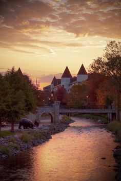 an elephant is standing on the bank of a river in front of some buildings at sunset