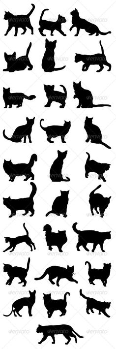 the silhouettes of cats are shown in different positions and sizes, including one cat's tail