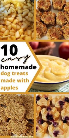 the top ten homemade dog treats that are made with apples and oatmeal