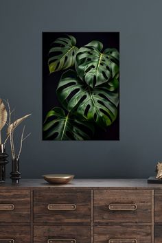 a large green leaf on a black background in a room with dark walls and drawers