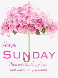 a pink umbrella with flowers on it says happy sunday may love and happiness rain down on you today