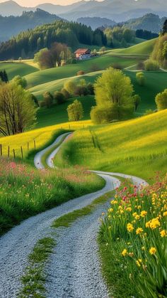 a dirt road winding through a lush green field with wildflowers in the foreground