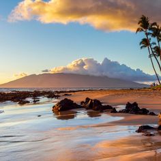 palm trees and rocks on the beach at sunset with clouds in the sky above them