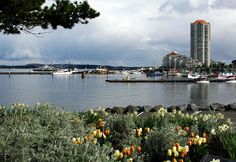 the boats are docked in the harbor by the water's edge and buildings on the other side