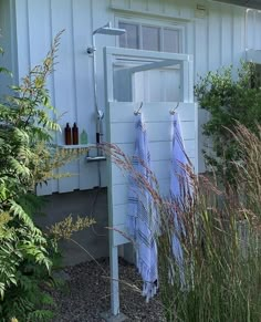 two blue towels are hanging on the outside of a white building with plants and bushes around it