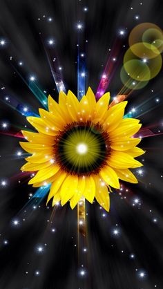 a sunflower with bright lights and stars in the background