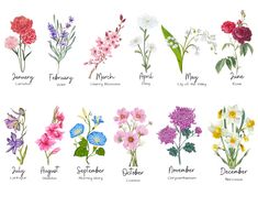 a bunch of flowers that are on a white background with the names of each flower