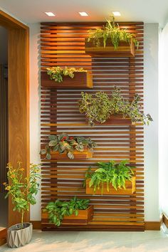 a wall mounted planter filled with lots of green plants