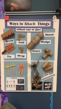 a bulletin board with different types of things on it