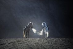 two white horses standing next to each other on a sandy beach with fog in the air