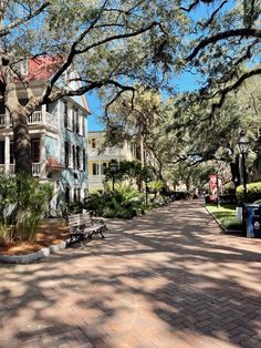 a street lined with lots of trees and benches