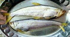 two fish sitting on top of a metal pan