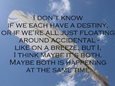 a feather flying in the sky with a quote below it that reads, i don't know if each have a destily or if we're all just float