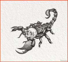 a black and white drawing of a scorpion with a skull on it's back