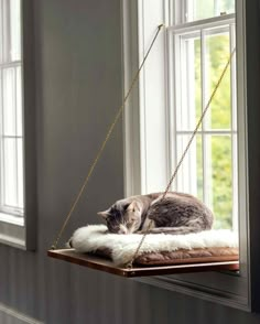 How Much Space Do Cats Need? Diy Seng, Katt Diy, Katt Grejer, Diy Cat Bed, Kat Diy, Chat Diy, Cat Window Perch, Window Perch